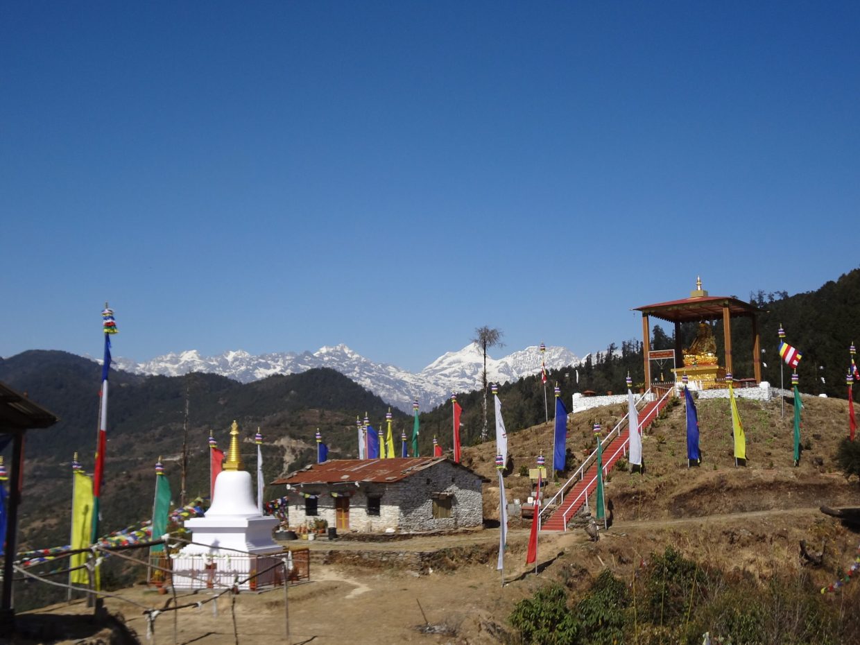DSC02490